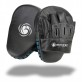 Pro Boxing Curved Focus Mitts